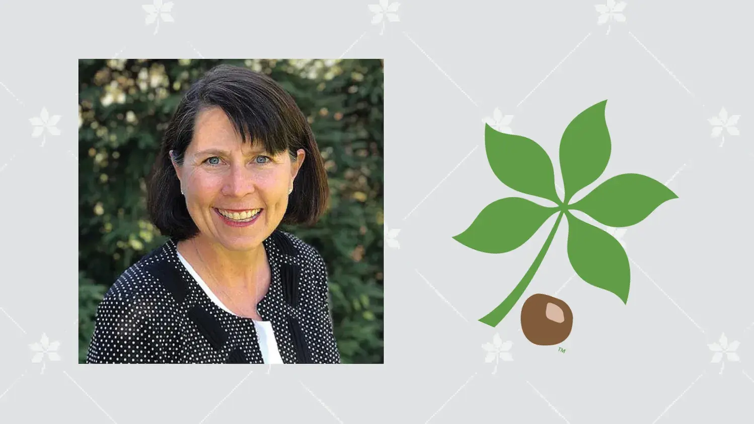 Ann Scheck McAlearney headshot